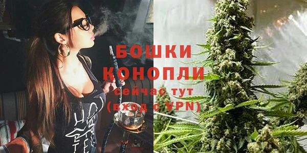 индика Гусев