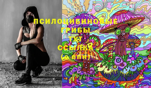 каннабис Дмитриев