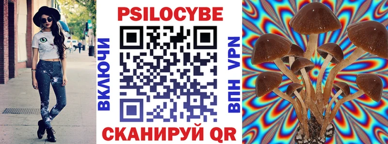 Псилоцибиновые грибы Magic Shrooms  как найти   Черкесск 